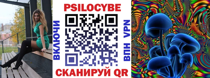 Галлюциногенные грибы Psilocybe Мариинск